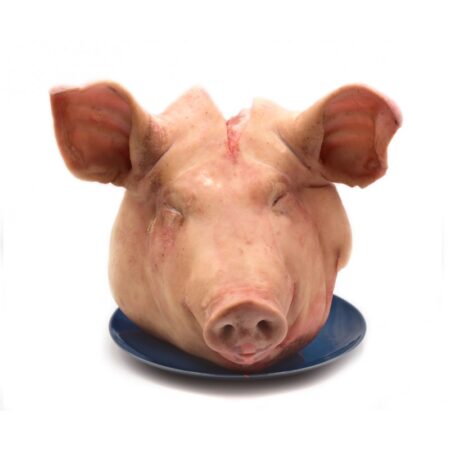 pork head 800x800
